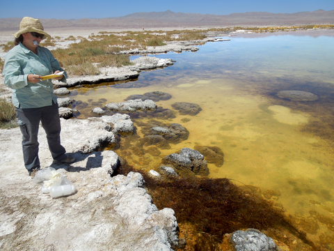 Dr. LeeAnn Munk of the University of Alaska Anchorage collects water samples at a saline laguna in the southern Transition Zone of Salar de Atacama. 