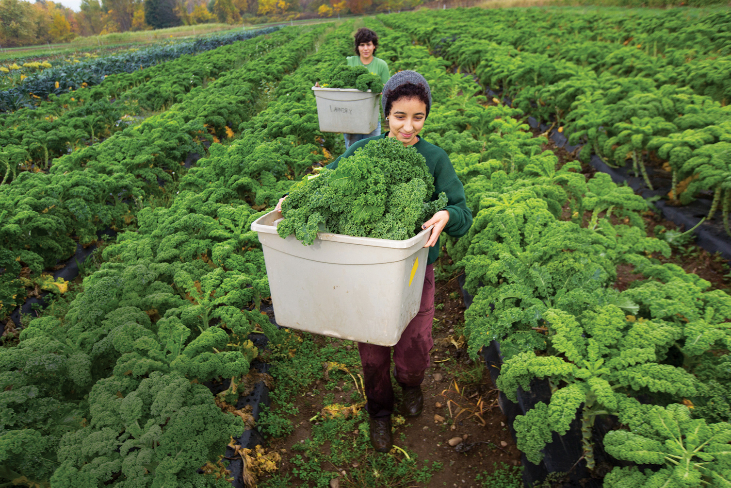 Student works on campus farm