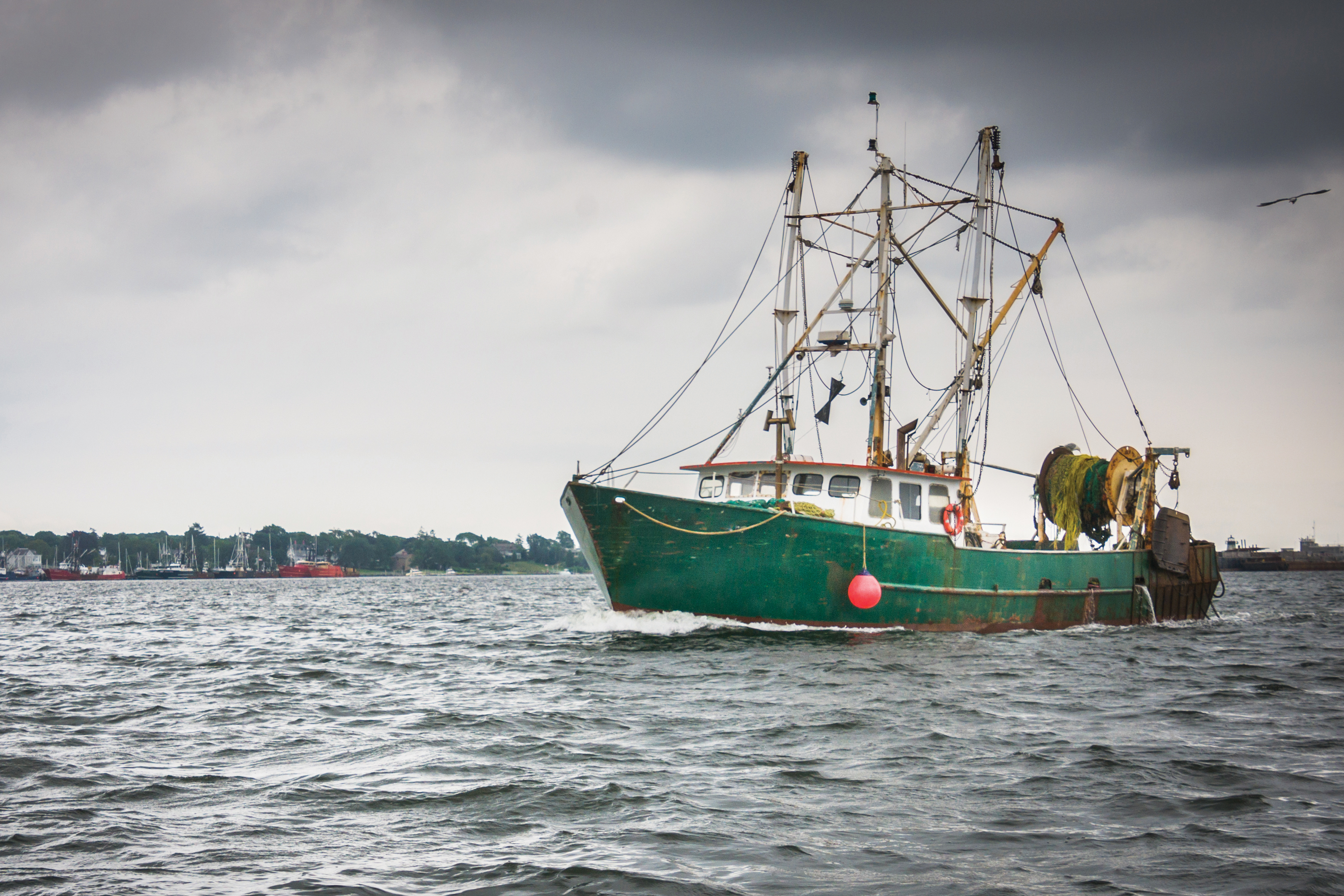 Seafloor surveys out of UMass Dartmouth are helping to ensure the long-term sustainability of the scallop industry in New Bedford.