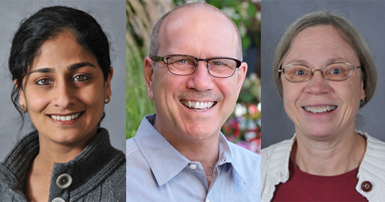 From left to right: Professors Pratima Prasad, Mark Warren and Laurel Wainwright