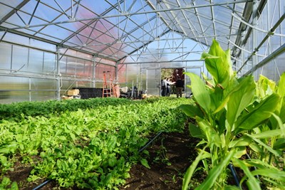 Organic waste from the Rist Urban Agriculture Greenhouse on East Campus will be sent to a new composting site run by Mill City Grows, which received a $10,000 Lowell Green Community Partnership grant.