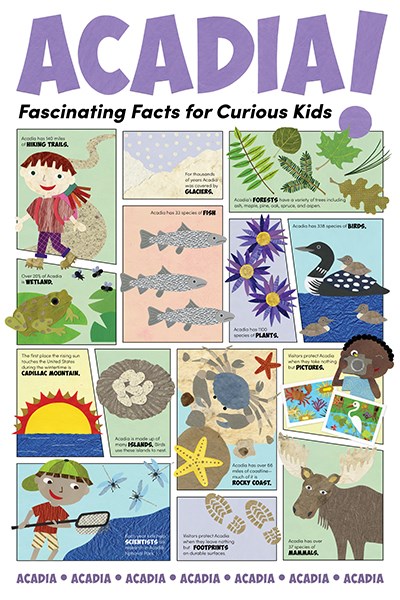 "Acadia! Fascinating Facts for Curious Kids" infographic