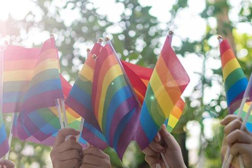 Hands hold up LGBTQIA+ rainbow flags
