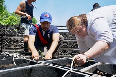 Graduate student Huzaifa Emran, left, and rising junior Agllaia Nikolla help plant greens in containers at the O'Leary rooftop garden.