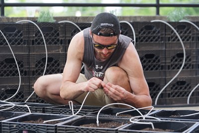 Senior Austin Thoren, a student employee with the Office of Sustainability, hooks up the drip irrigation system.