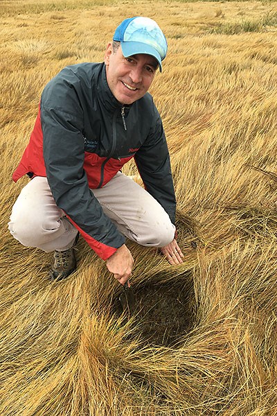 Obrist examines the soil on Plum Island in Massachusetts, where he has an ongoing National Science Foundation project to investigate mercury cycling in salt marshes.