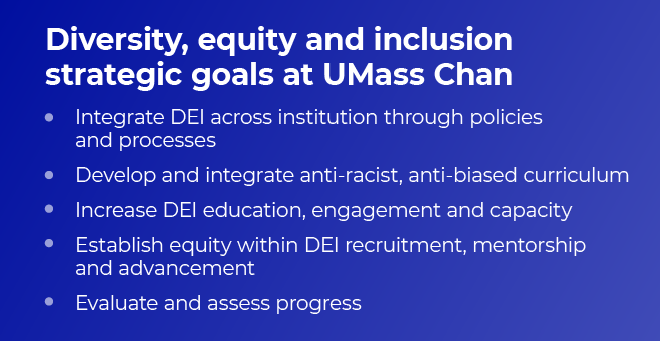 Diversity, equity, and inclusion strategic goals at UMass Chan graphic