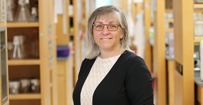 Ann Moormann, PhD, MPH