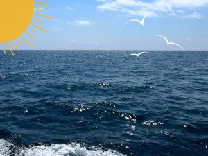 Graphic of the ocean on a sunny day with blue skies. Text on graphic says How UMass spent its summer.