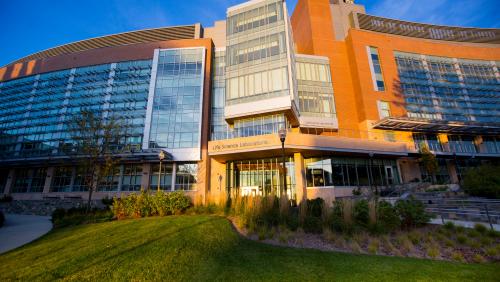 UMass Amherst Life Sciences Building