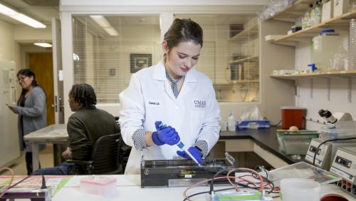 Student researcher works in lab