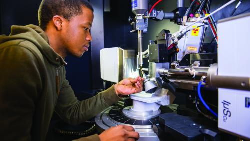 Student works in UMass Boston's Center for Personalized Cancer Therapy