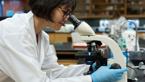Researcher looks into microscope