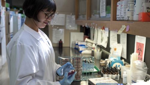 Student works in lab at UMass Lowell