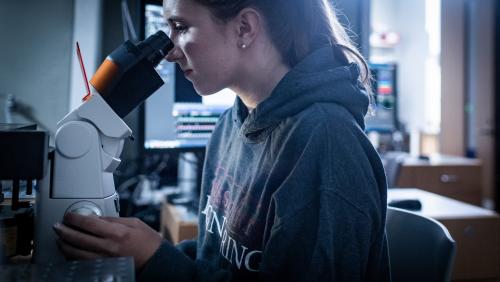 A female student looks into a microscope
