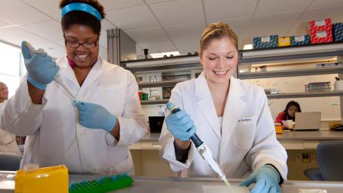 UMass Amherst students in a research lab