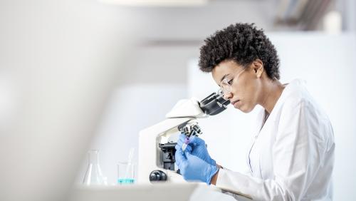 A researcher looks through a microscope