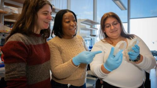 Three researchers in a lab examining and pointing to a petri dish.